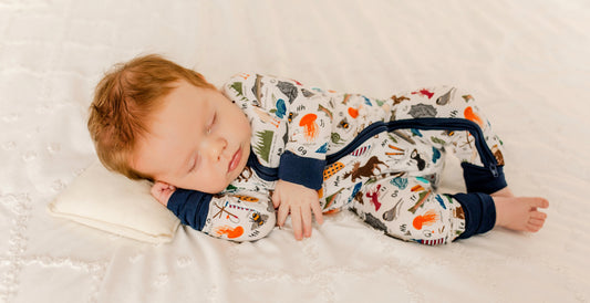Children's pajama set with blueberries, moose, lobsters, waffles, hotdogs, oysters, chickadee, jellyfish, fiddleheads, ice fishing, and so much more to make the maine alphabet