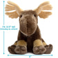Maine Moose Plush Animal