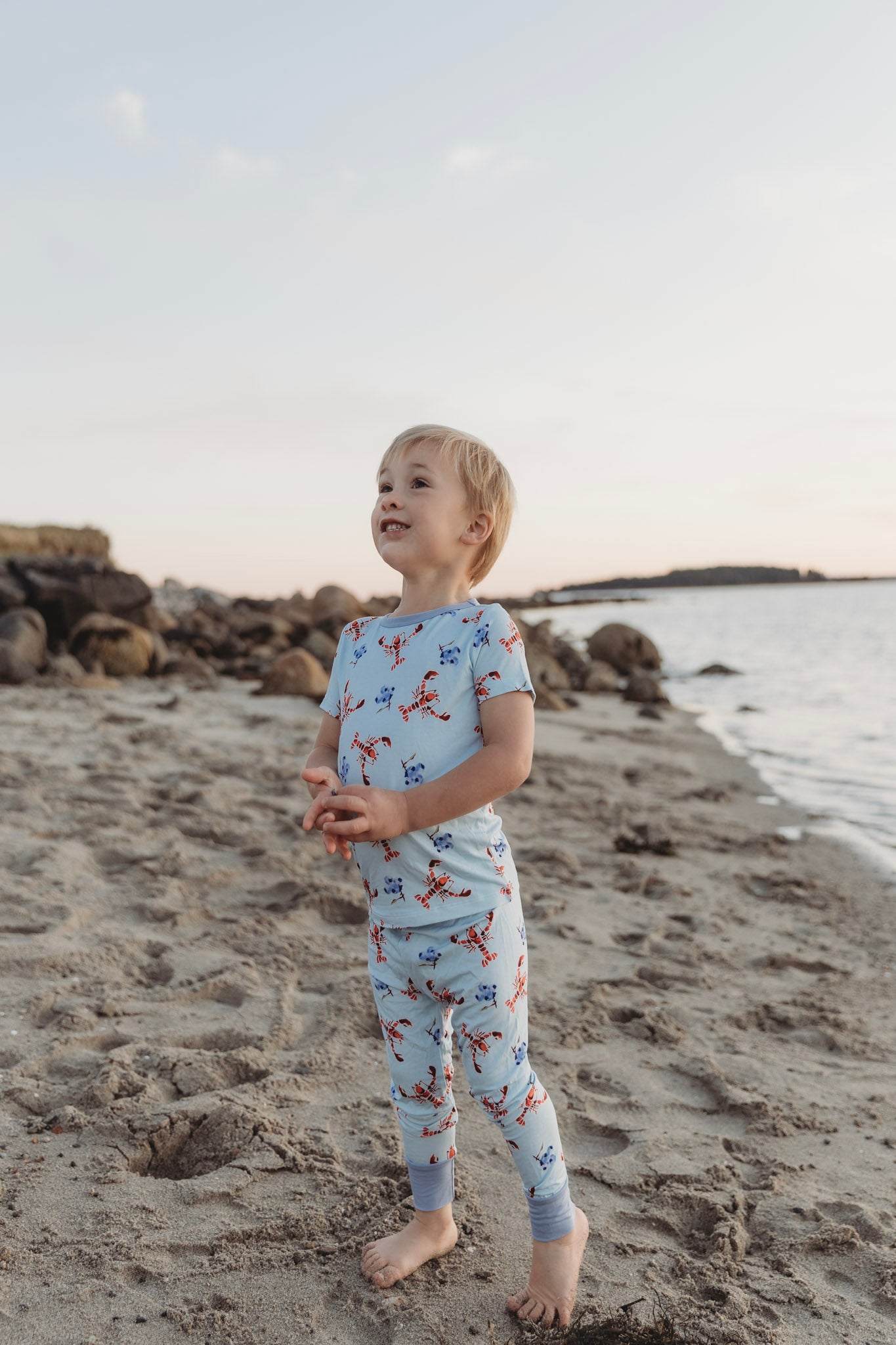 Brooke - Lobster & Blueberry Two Piece Pajama Set
