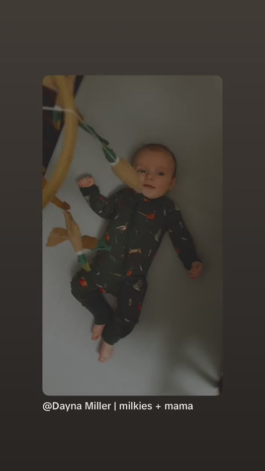 🌊 John- Maine Game Birds Zippy Romper